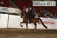 09buck-4812 proof