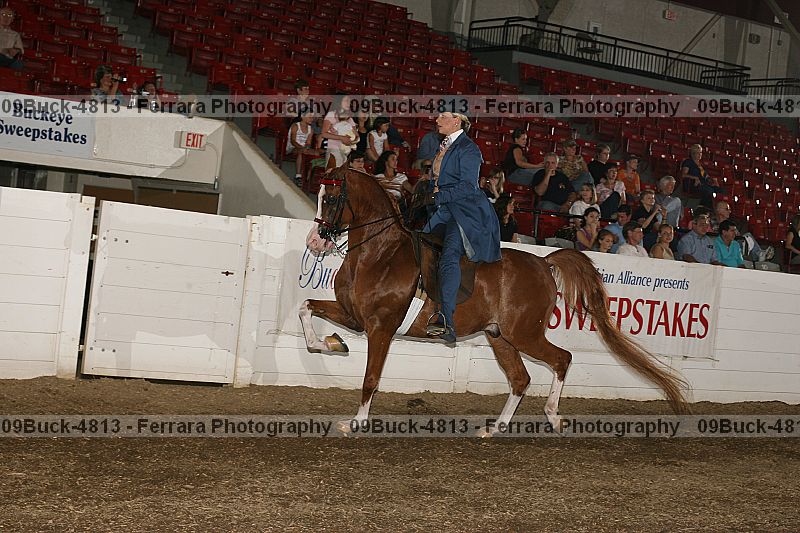 Proof 09buck-4813