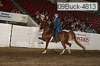 09buck-4813 proof