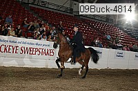 09buck-4814 proof