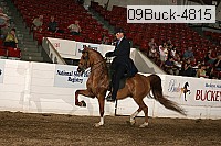 09buck-4815 proof