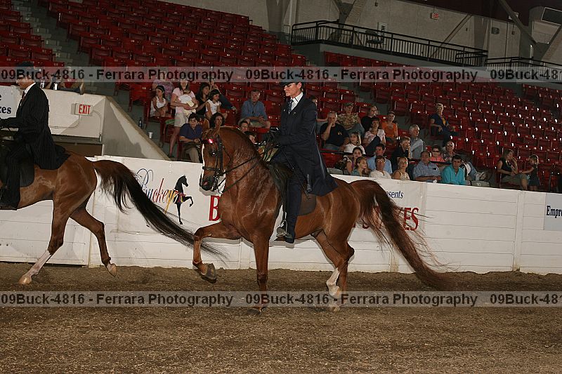 Proof 09buck-4816