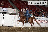 09buck-4817 proof