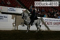 09buck-4818 proof