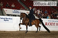 09buck-4819 proof