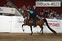 09buck-4823 proof