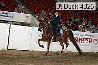 09buck-4825 proof