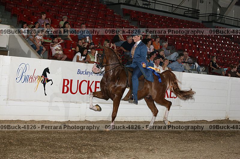 Proof 09buck-4826