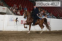 09buck-4827 proof