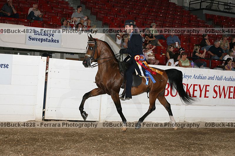 Proof 09buck-4828