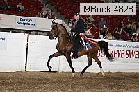 09buck-4828 proof