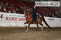 09buck-4829 proof