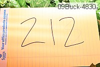 09buck-4830 proof