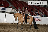 09buck-4831 proof