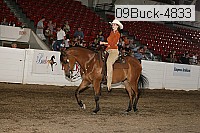 09buck-4833 proof