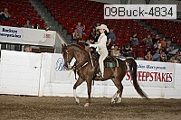 09buck-4834 proof