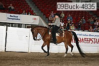 09buck-4835 proof