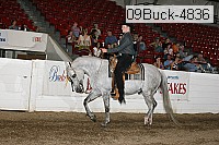 09buck-4836 proof