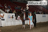 09buck-4838 proof