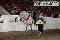 09buck-4839 proof
