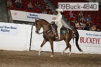09buck-4840 proof