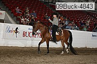 09buck-4843 proof