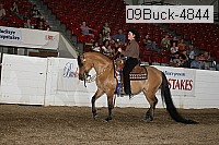 09buck-4844 proof