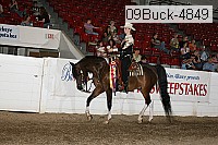 09buck-4849 proof