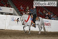 09buck-4855 proof