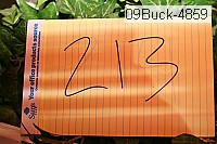 09buck-4859 proof