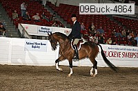 09buck-4864 proof