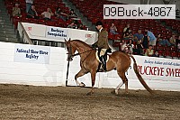 09buck-4867 proof