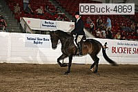 09buck-4869 proof