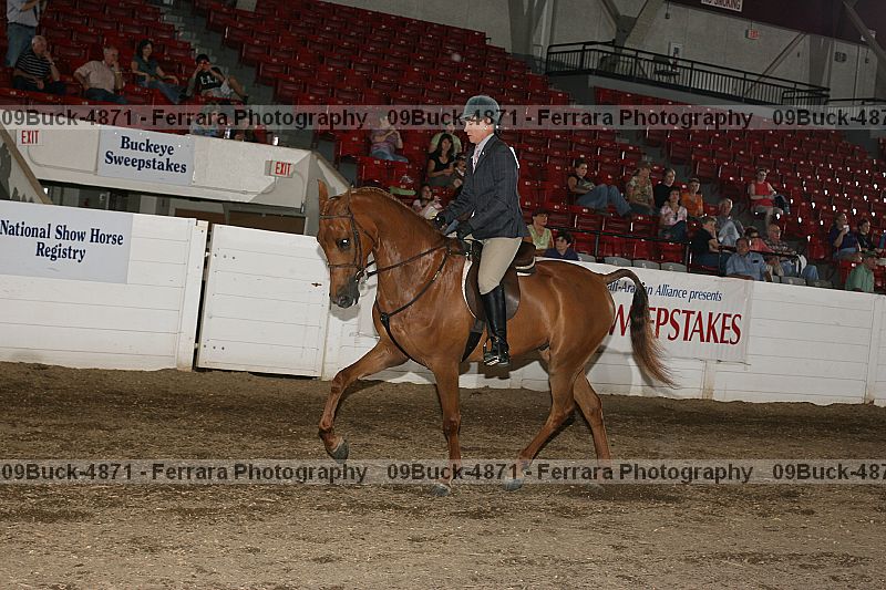 Proof 09buck-4871