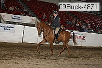 09buck-4871 proof