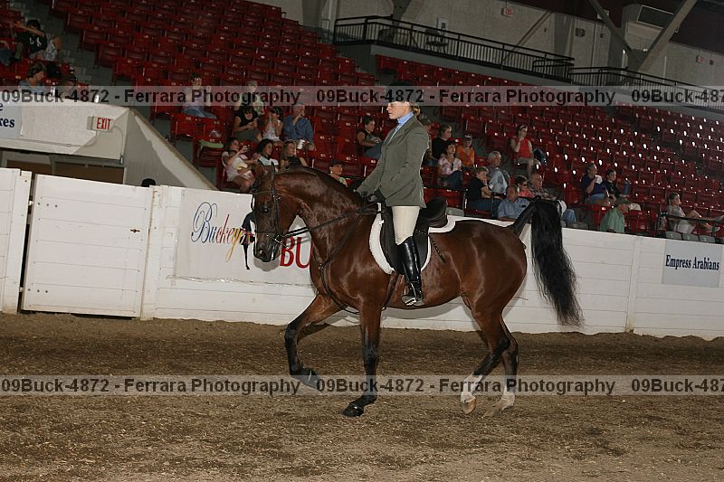 Proof 09buck-4872