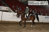 09buck-4872 proof