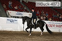 09buck-4873 proof