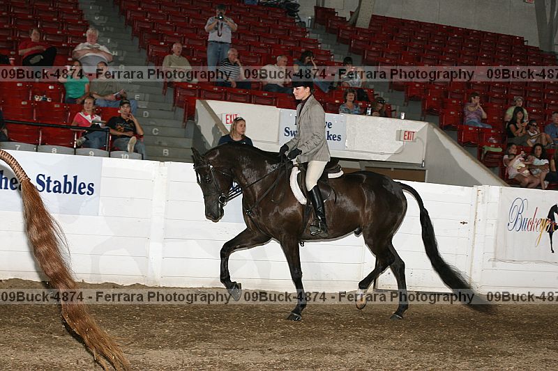 Proof 09buck-4874