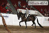 09buck-4874 proof
