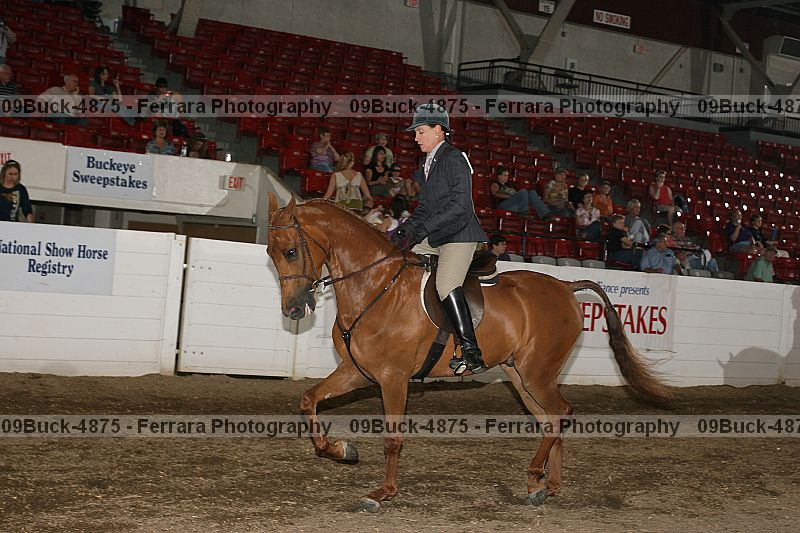 Proof 09buck-4875