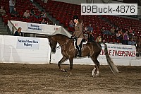 09buck-4876 proof