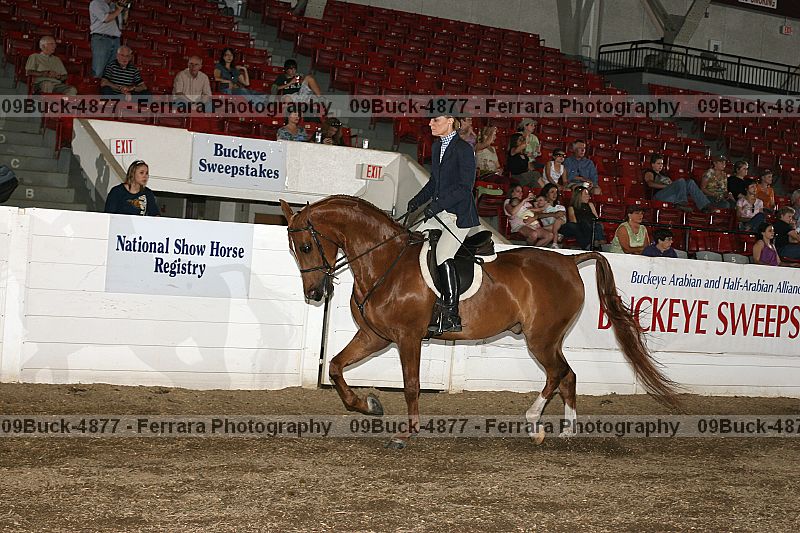 Proof 09buck-4877