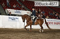 09buck-4877 proof