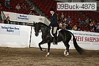 09buck-4878 proof