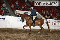 09buck-4879 proof
