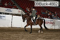 09buck-4882 proof