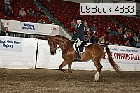 09buck-4883 proof