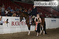 09buck-4886 proof