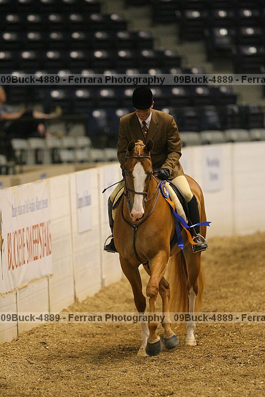 Proof 09buck-4889